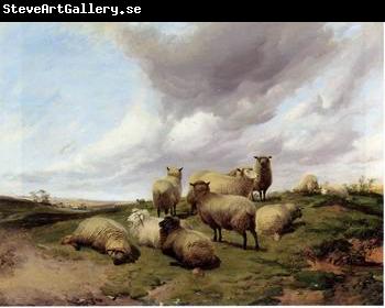 unknow artist Sheep 146